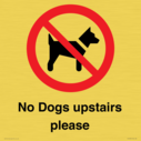 no-dogs-upstairs-please-~